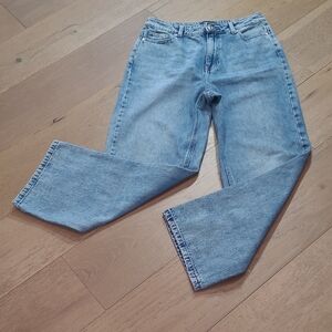 EUC ONLY Bianca Wide Leg Jeans Women's sz 30 High Rise Ankle Denim Jeans